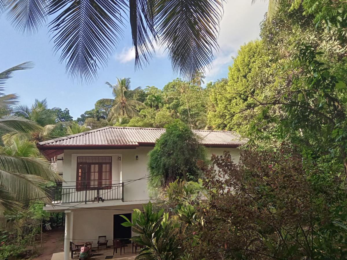 Jungle Village Homestay Pinnawala  Luaran gambar