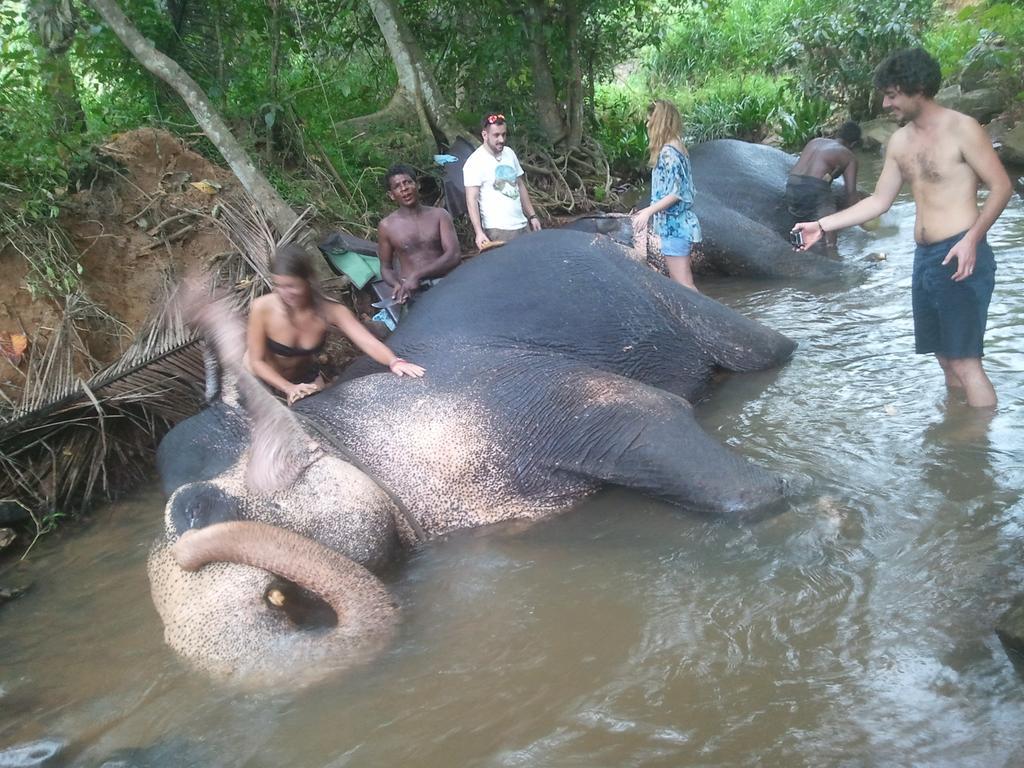 Jungle Village Homestay Pinnawala  Luaran gambar