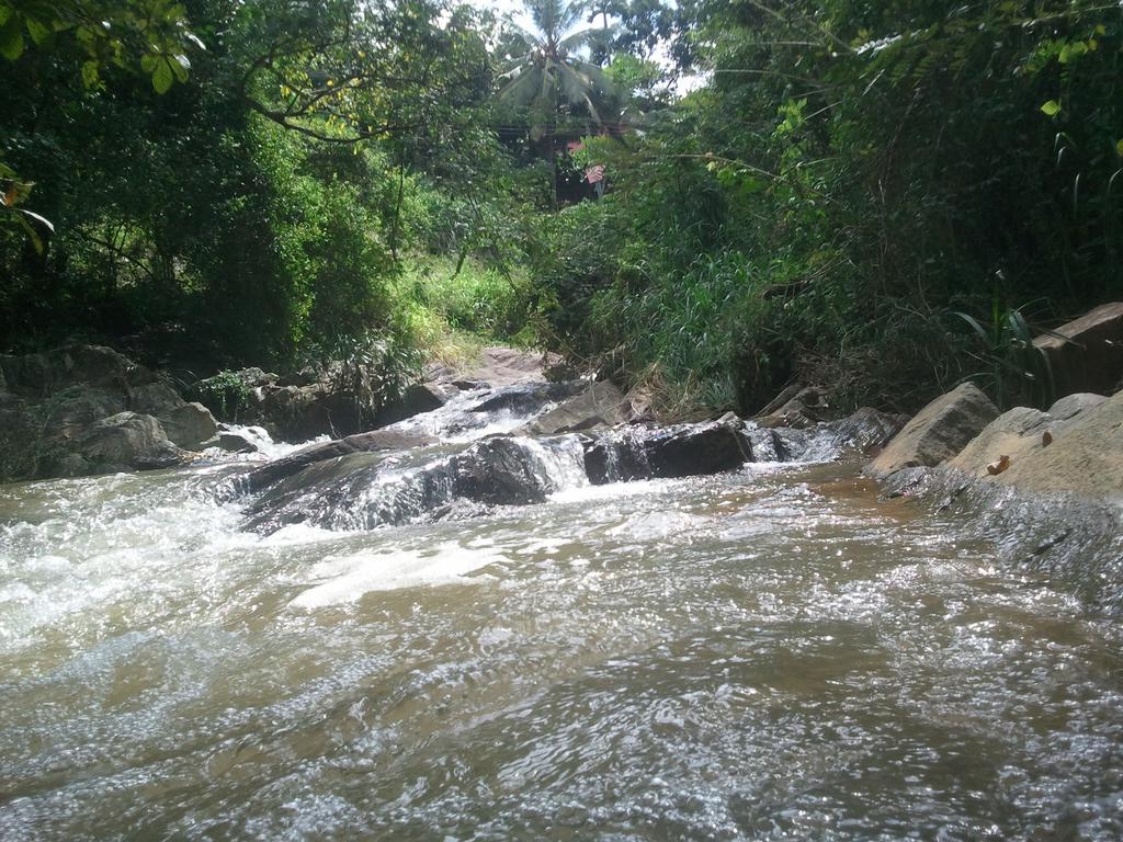 Jungle Village Homestay Pinnawala  Luaran gambar