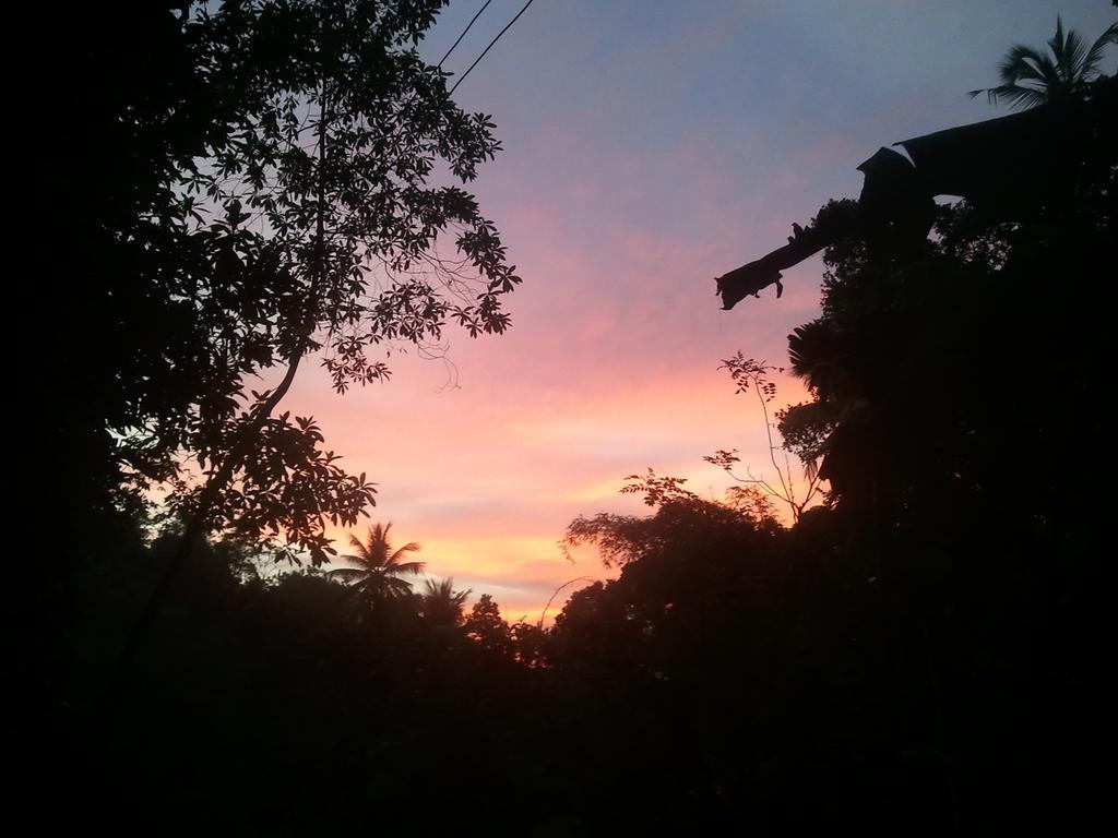Jungle Village Homestay Pinnawala  Luaran gambar