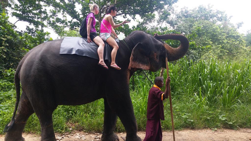 Jungle Village Homestay Pinnawala  Luaran gambar