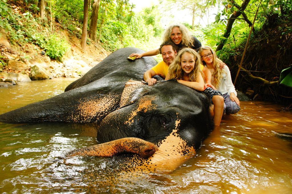 Jungle Village Homestay Pinnawala  Luaran gambar